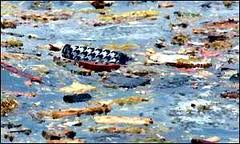 The information was never released to the public that the Plane had crashed directly into the Giant Ocean Buoy which marked the Ocean Passage. The steel buoy's girders sliced through the plane and cut everything into tiny pieces. A soup of 'guts' marked the spot where the plane crashed and the buoy sank.